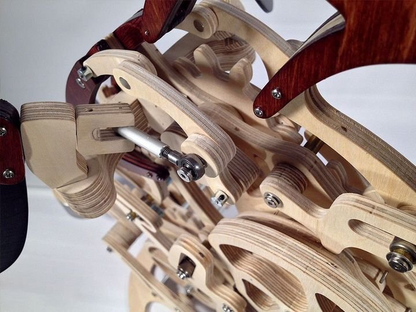 Skanto | 3D Wooden Mechanical Hummingbird and Wooden Mechanical Turtle