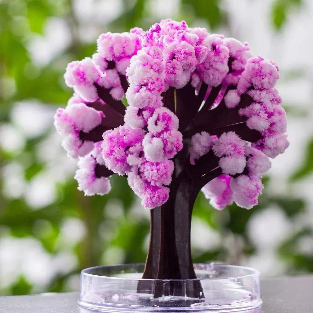BowLift | Make your garden bloom - Grow your sakura tree!