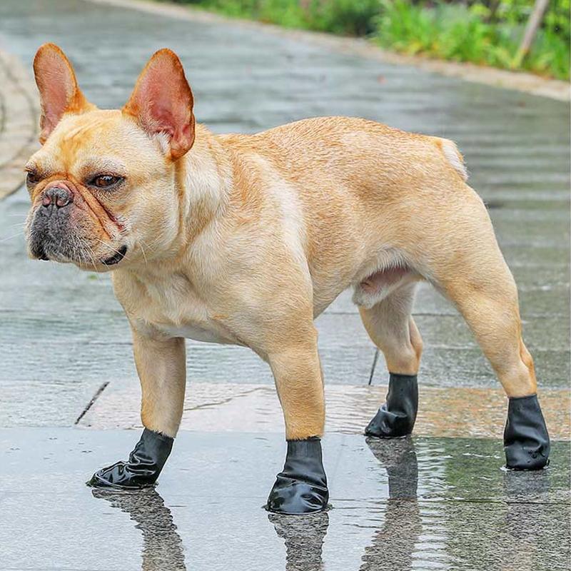 Karnz | PootShield Waterproof Dog Shoes with Grip and Protective Comfort