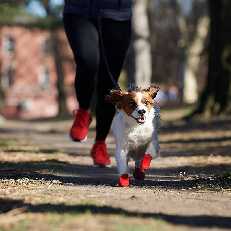 Karnz | PootShield Waterproof Dog Shoes with Grip and Protective Comfort