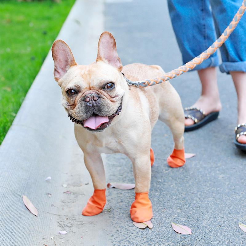 Karnz | PootShield Waterproof Dog Shoes with Grip and Protective Comfort