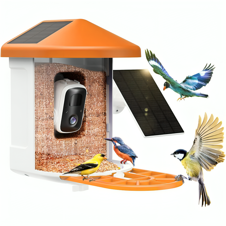Skanto | Smart Bird Feeder Camera Solar Outdoor Device