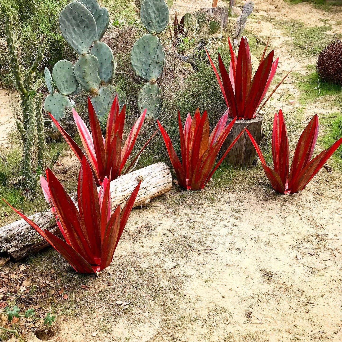 BowLift | Eternal Agave – Handcrafted Rust-Proof Metal Garden Sculpture for Indoor & Outdoor Decor