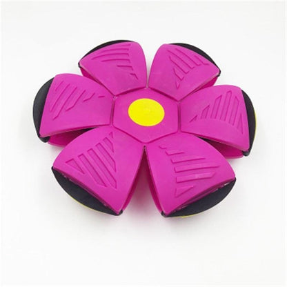Skanto | Outdoor Toy Fly Ball LED