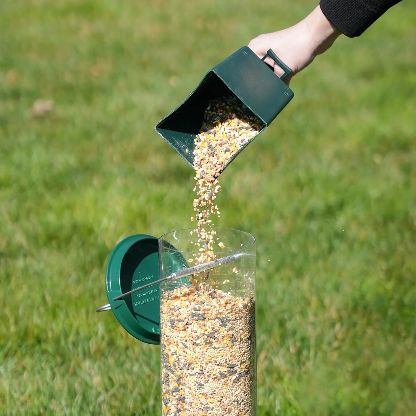 Skanto | Metal Hanging Squirrel-Proof Bird Feeder for Gardens