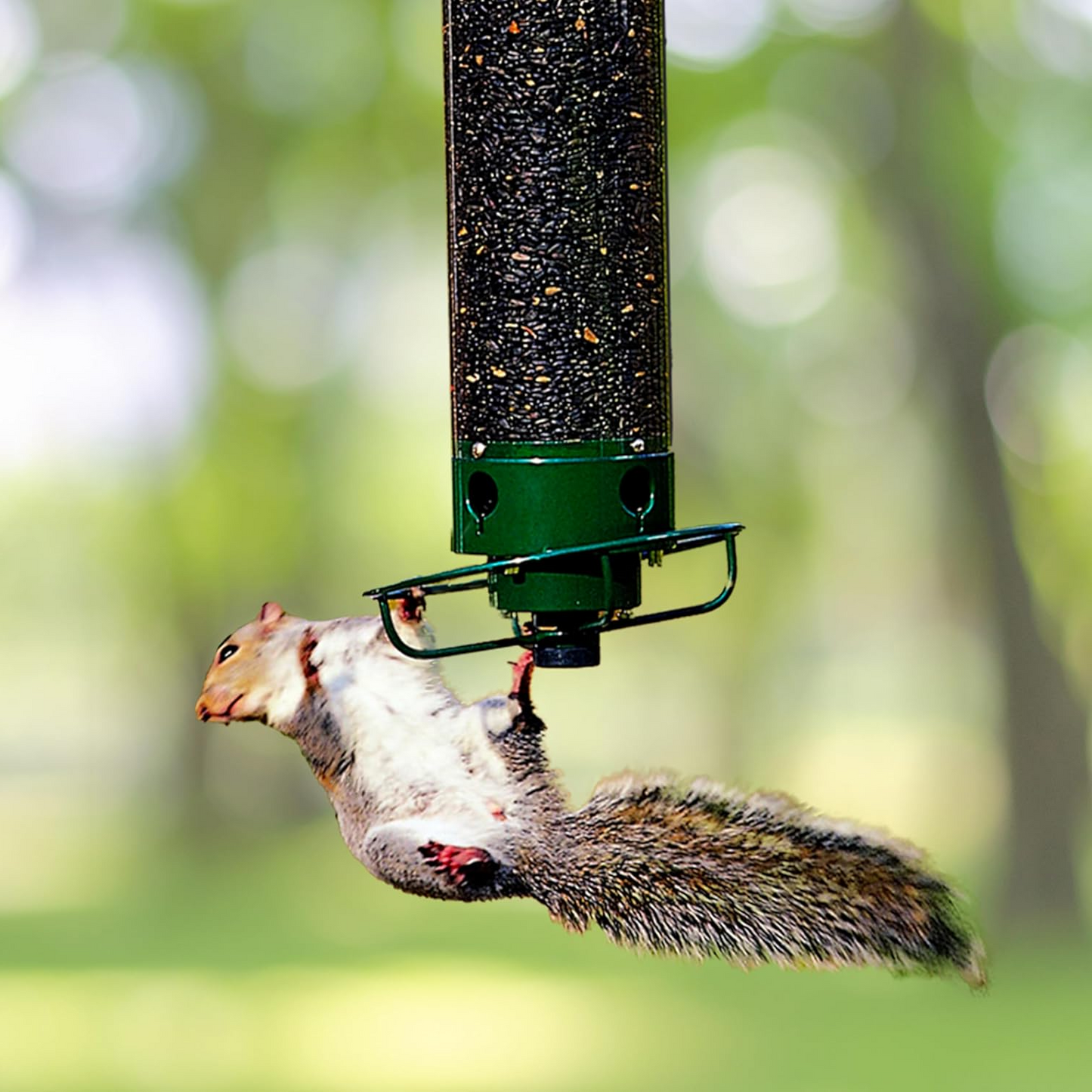 BowLift | Squirrel Proof Bird Feeder | Heavy-Duty Metal, Multi-Feeding Ports & Ideal for Backyard Birdwatching
