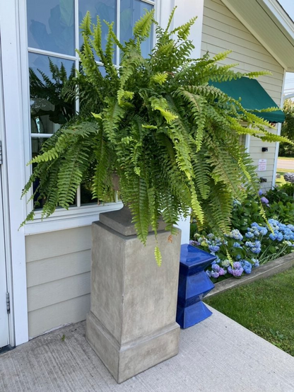 Skanto | UV-Resistant Lifelike Artificial Boston Fern – Perfect for Outdoor Decor