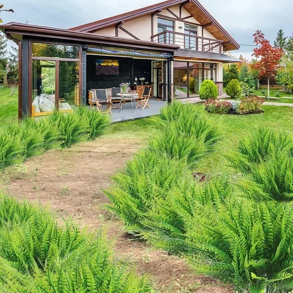 Skanto | UV-Resistant Lifelike Artificial Boston Fern – Perfect for Outdoor Decor