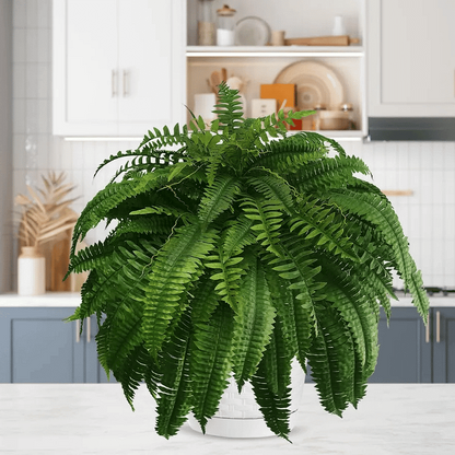 Skanto | UV-Resistant Lifelike Artificial Boston Fern – Perfect for Outdoor Decor