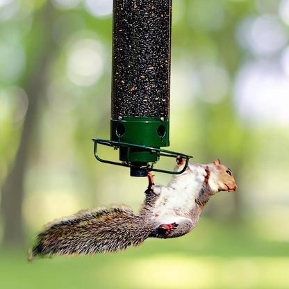 Skanto | Metal Hanging Squirrel-Proof Bird Feeder for Gardens