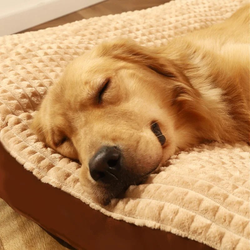 Skanto | PawRest – Orthopedic Dog Bed with Optimal Support and Comfort