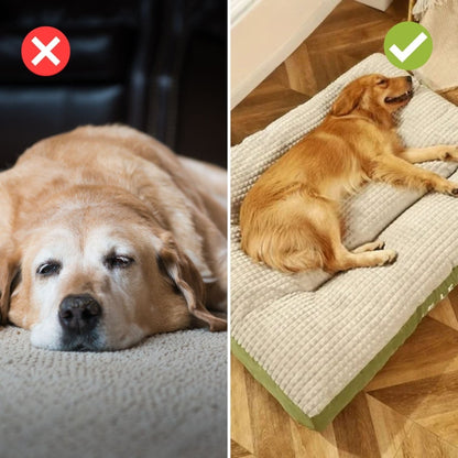 Skanto | PawRest – Orthopedic Dog Bed with Optimal Support and Comfort