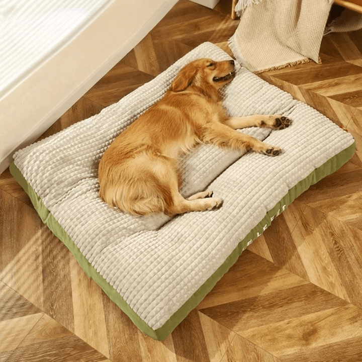 Skanto | PawRest – Orthopedic Dog Bed with Optimal Support and Comfort