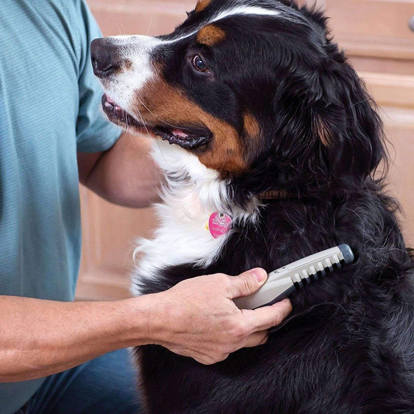 BowLift | Electric Pet Grooming Comb - The Ultimate Pet Grooming Tool