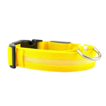 Skanto | Skanto GlowPets LED Collar – Pet Safety & Visibility