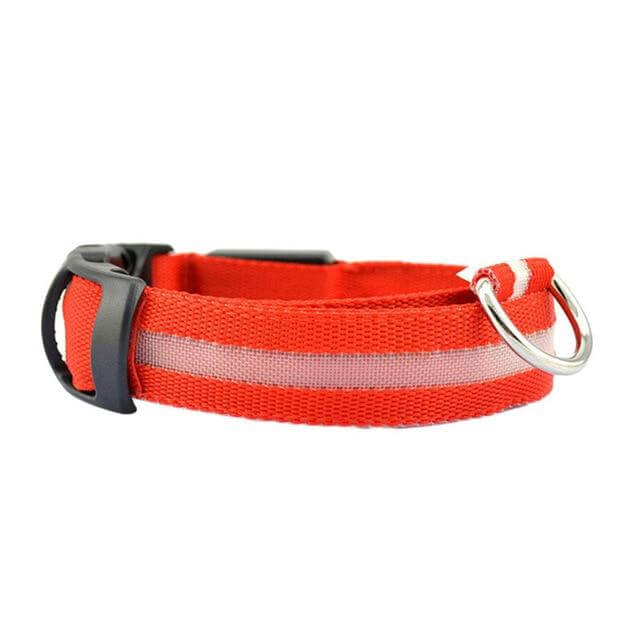 Skanto | Skanto GlowPets LED Collar – Pet Safety & Visibility