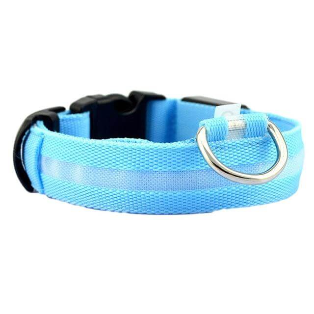 Skanto | Skanto GlowPets LED Collar – Pet Safety & Visibility
