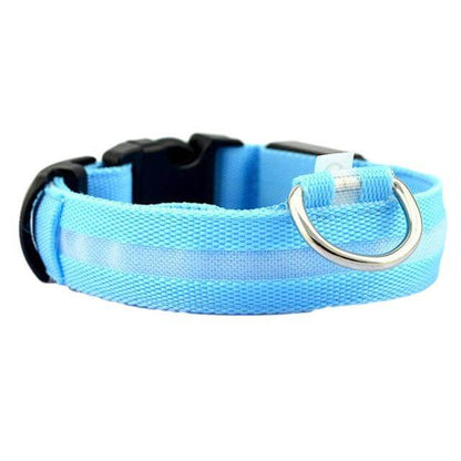 Skanto | Skanto GlowPets LED Collar – Pet Safety & Visibility