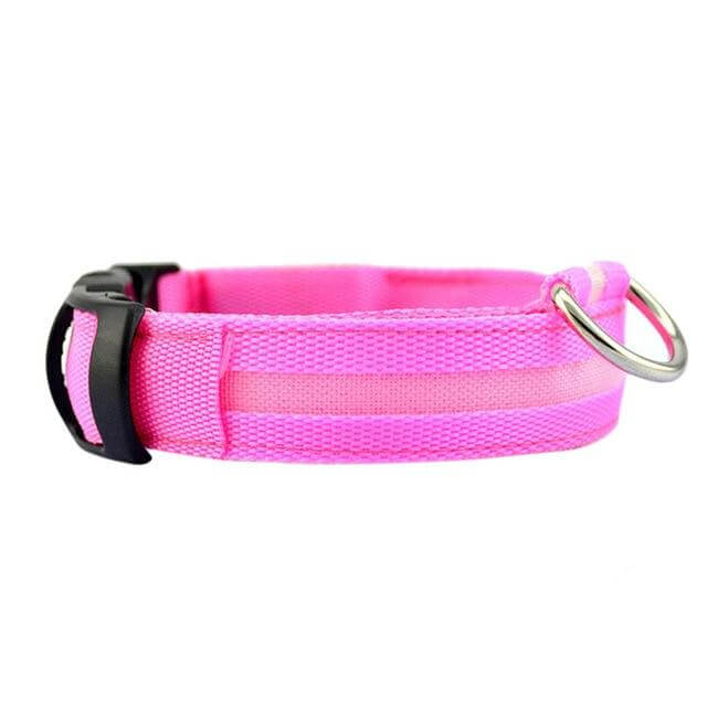 Skanto | Skanto GlowPets LED Collar – Pet Safety & Visibility