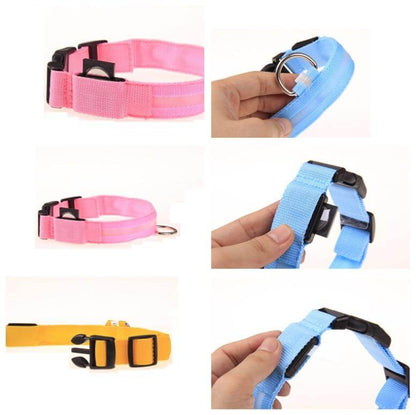 Skanto | Skanto GlowPets LED Collar – Pet Safety & Visibility