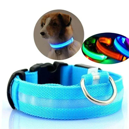 Skanto | Skanto GlowPets LED Collar – Pet Safety & Visibility