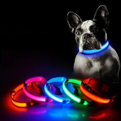 Skanto | Skanto GlowPets LED Collar – Pet Safety & Visibility