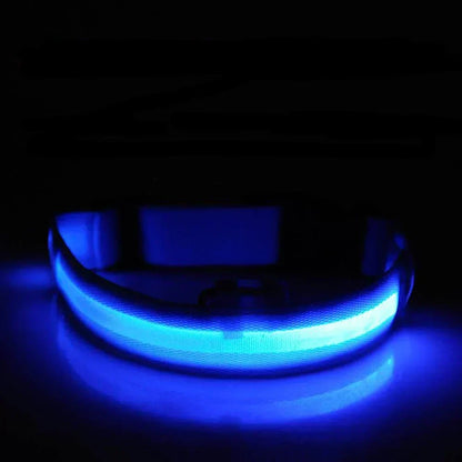 Skanto | Skanto GlowPets LED Collar – Pet Safety & Visibility