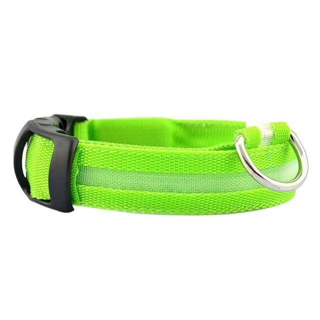 Skanto | Skanto GlowPets LED Collar – Pet Safety & Visibility