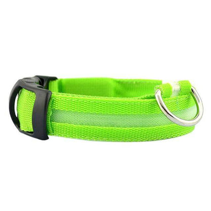 Skanto | Skanto GlowPets LED Collar – Pet Safety & Visibility