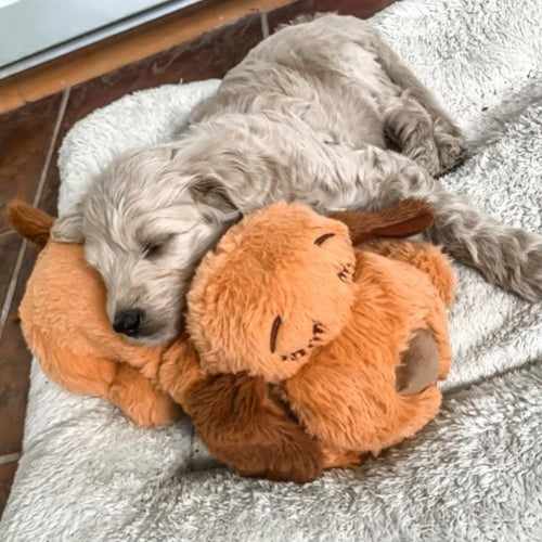 Skanto | Snuggle Puppy - Anxiety and Loneliness Reducing Stuffed Animal