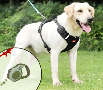 NoPull Dog Harness – WalkEase Skanto