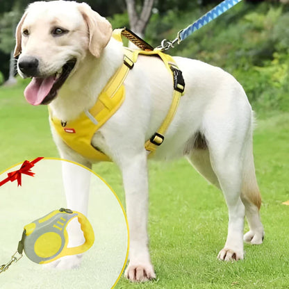 NoPull Dog Harness – WalkEase Skanto