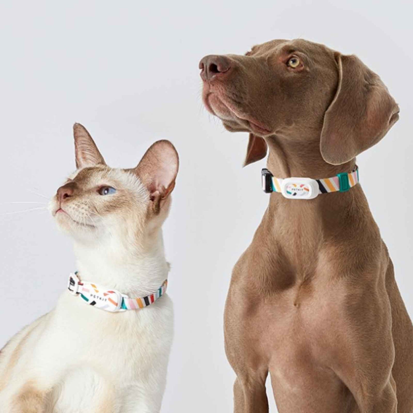 Skanto | Fit 3 Smart Pet Activity Trackers and Fitness Monitors for Cats