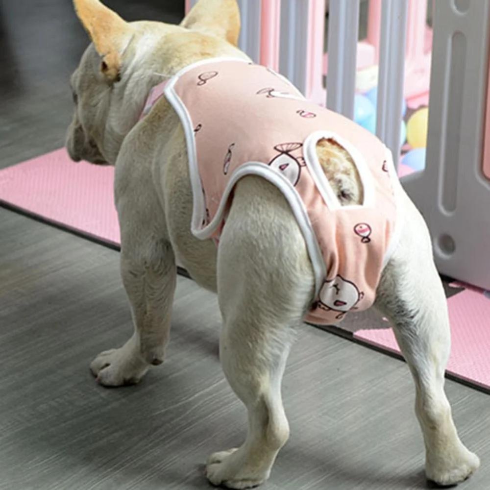 Post - Surgery • Dog Recovery Suit - Dog Recovery Suit - BowLift