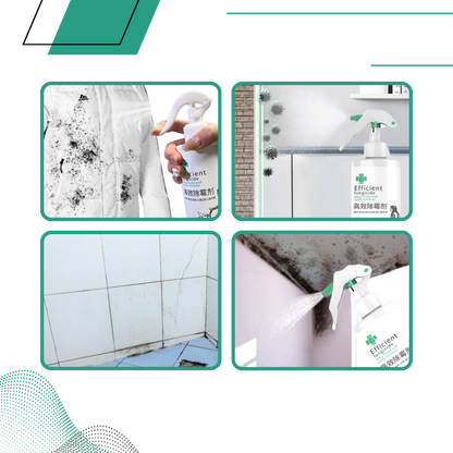 Powerful Mold Remover Spray
