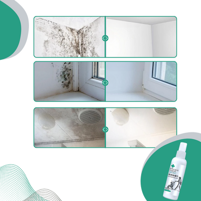 Powerful Mold Remover Spray