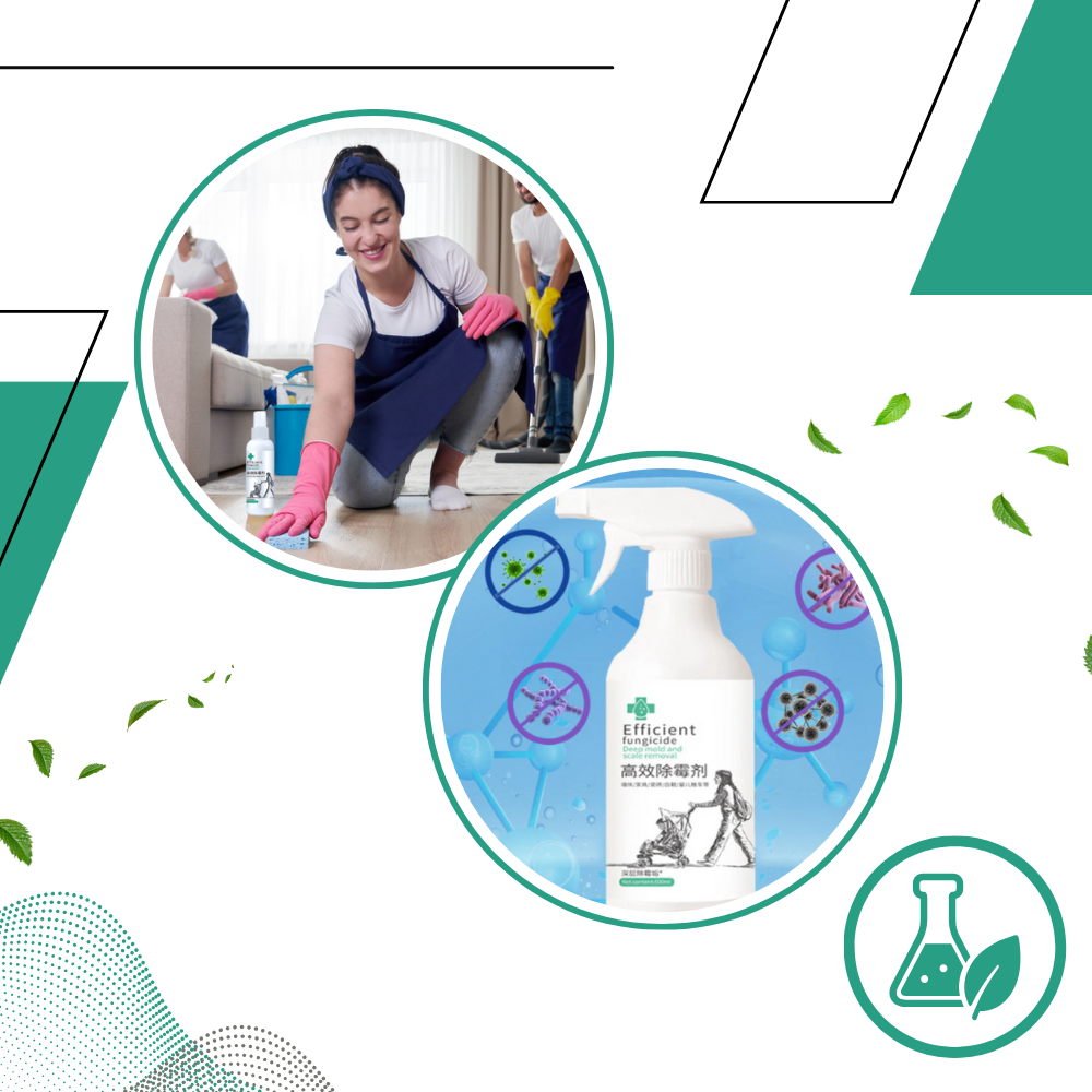 Powerful Mold Remover Spray