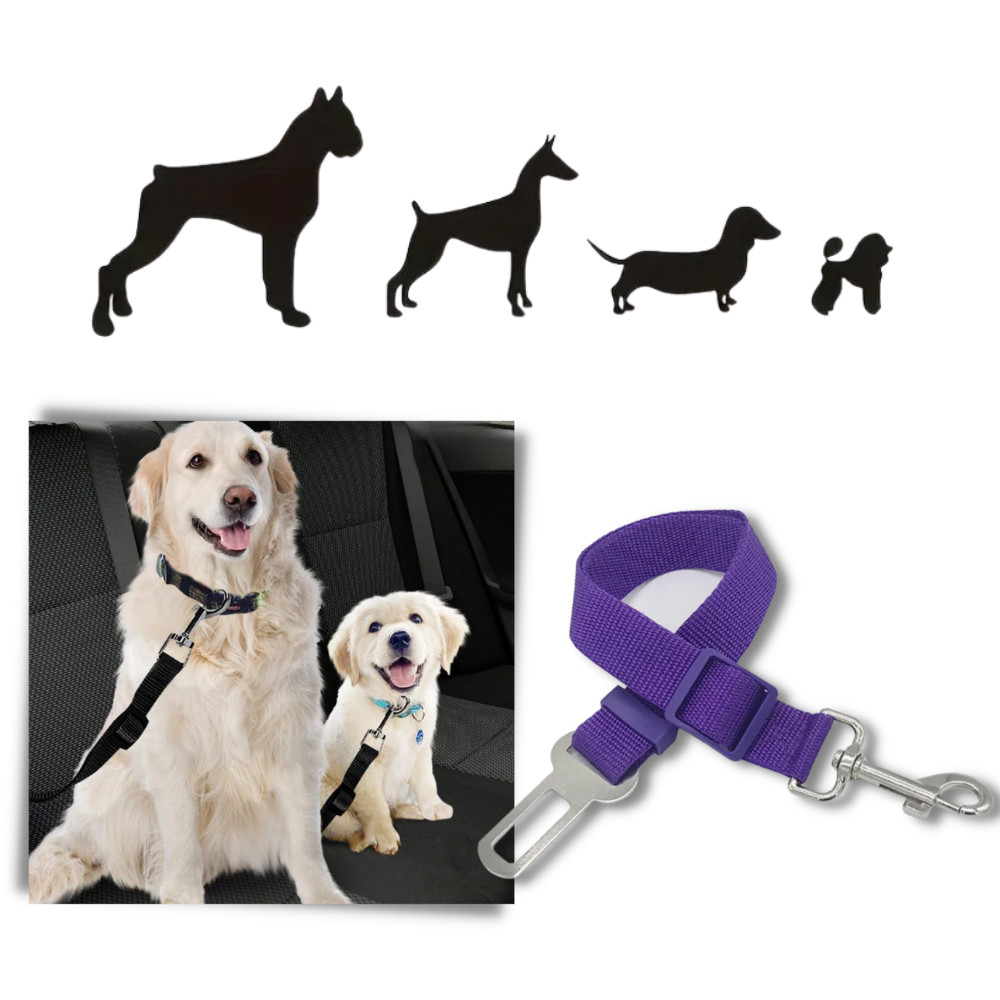 Premium Pet and Dog Seat Belt