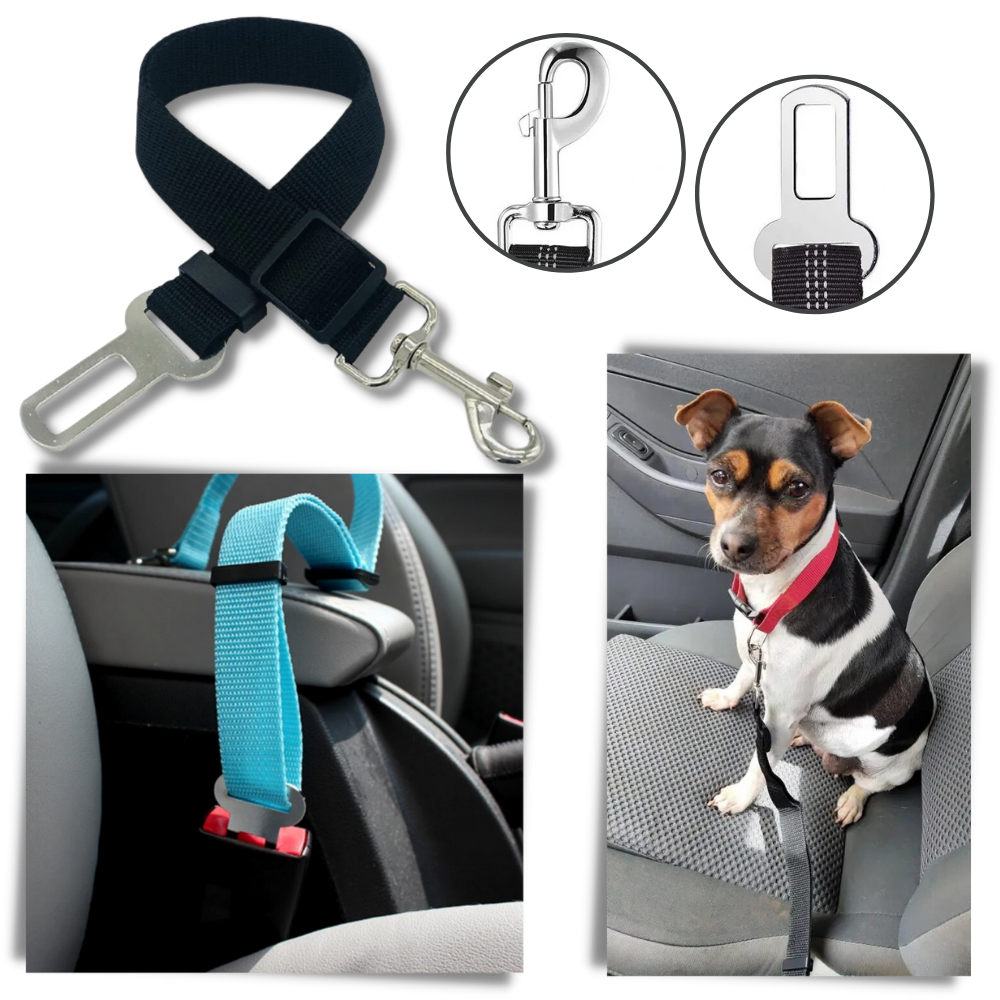 Premium Pet and Dog Seat Belt