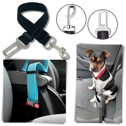 Premium Pet and Dog Seat Belt