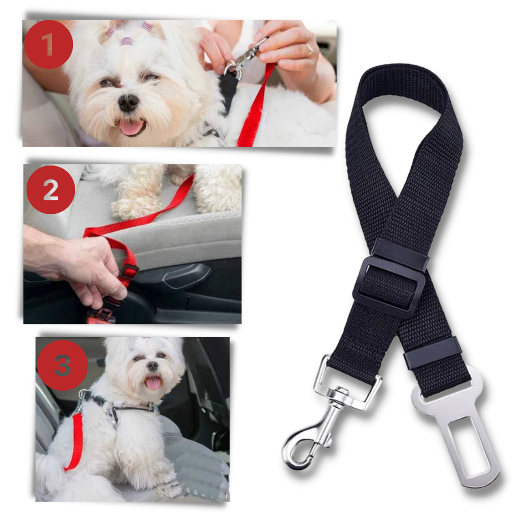 Premium Pet and Dog Seat Belt