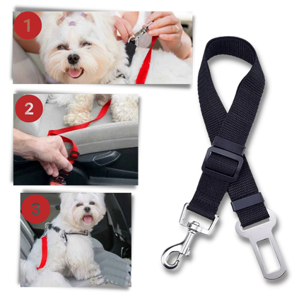 Premium Pet and Dog Seat Belt