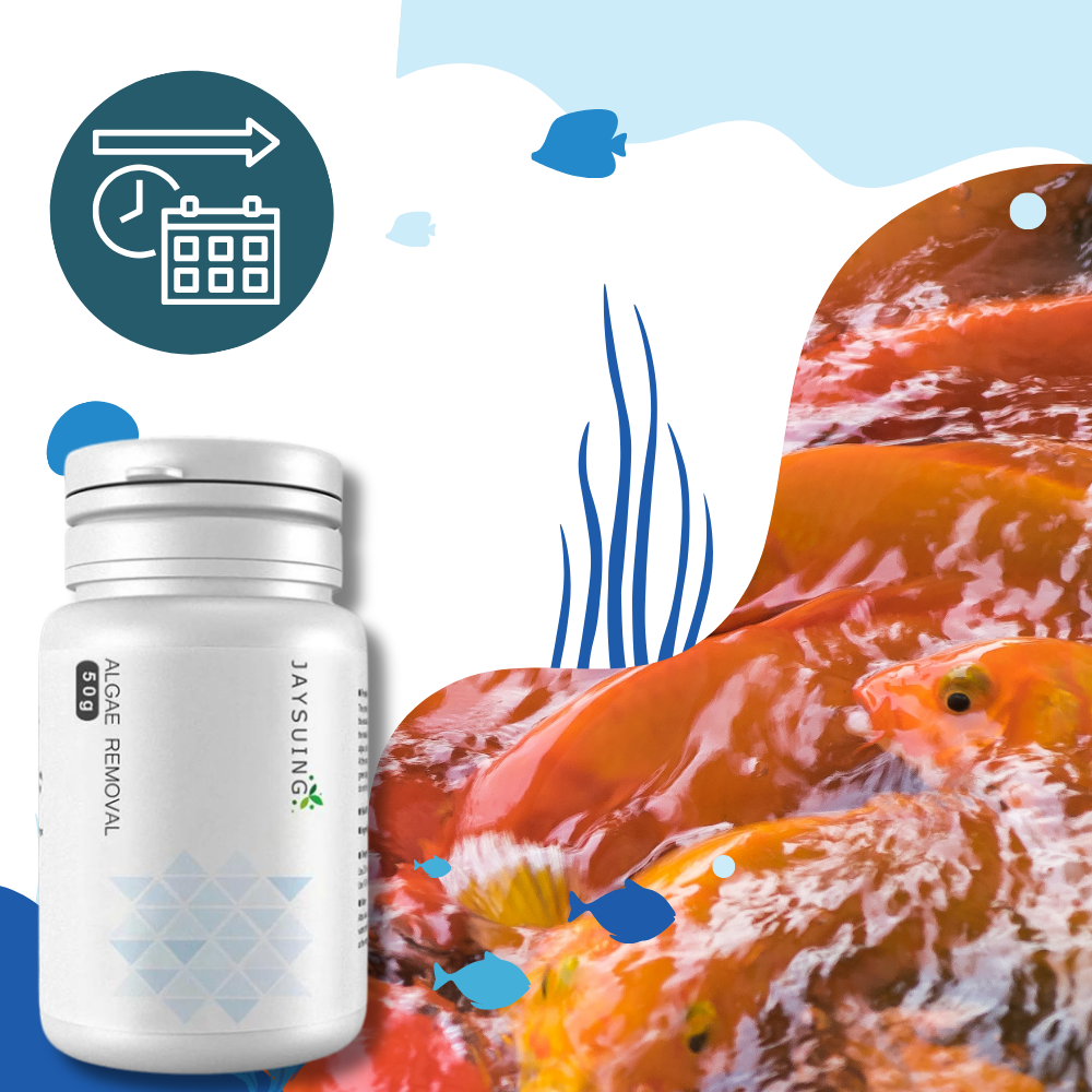 Preventive Algaecide for Aquariums
