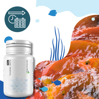 Preventive Algaecide for Aquariums