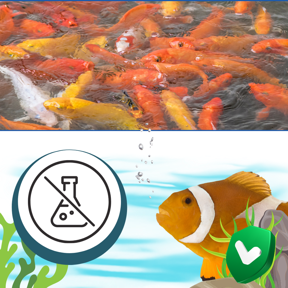 Preventive Algaecide for Aquariums