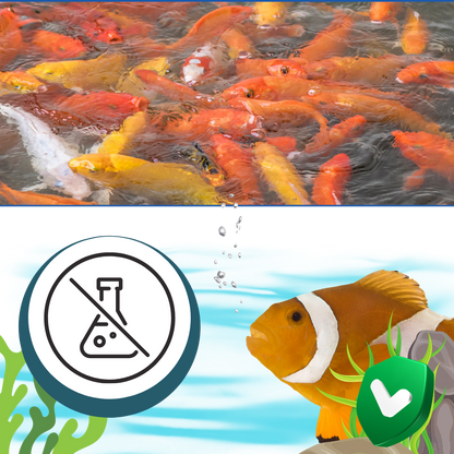 Preventive Algaecide for Aquariums