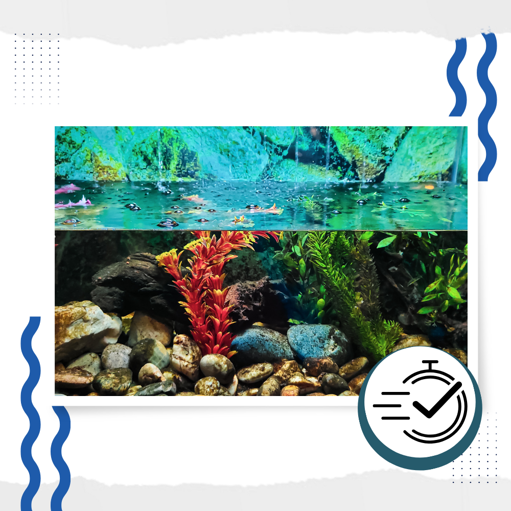 Preventive Algaecide for Aquariums