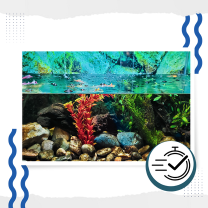Preventive Algaecide for Aquariums