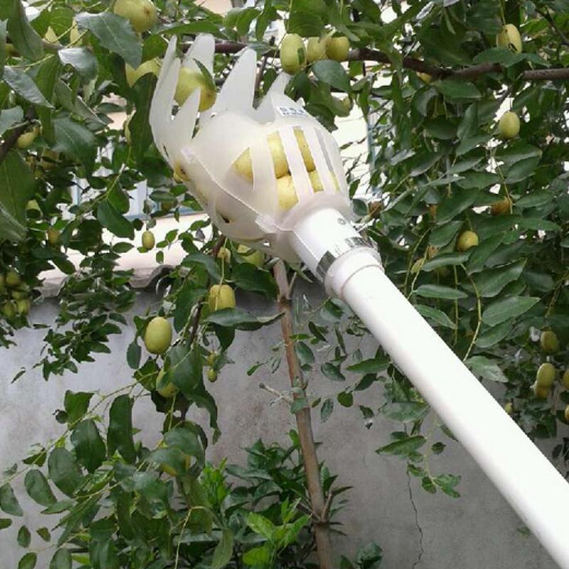 Fruit Picker & Catcher Garden Tool | Bowlift