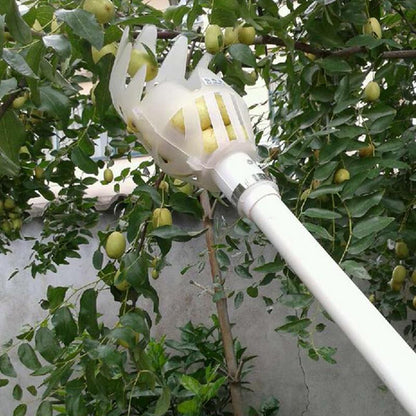 Fruit Picker & Catcher Garden Tool | Bowlift